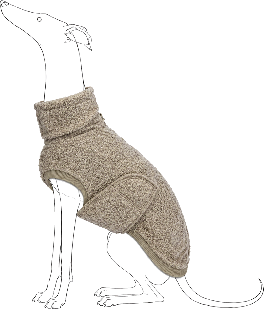 Line illustration of a greyhound wearing the knit jumper